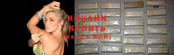 сатива Алагир