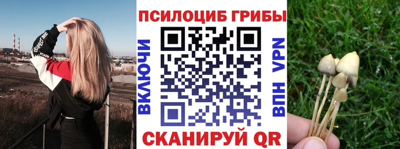 Галлюциногенные грибы Psilocybine cubensis  Заозёрск 